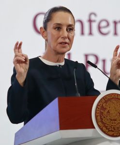 Trump usłyszał "nie". Meksyk odrzucił jego propozycję ws. wojska