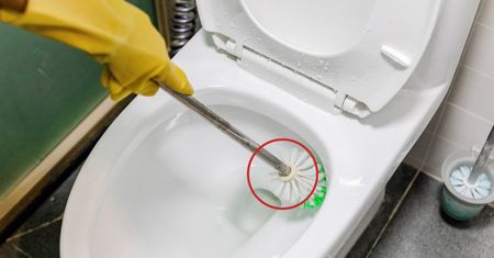 Ukryta funkcja szczotki do WC. Wyczyścisz muszlę w 30 sekund