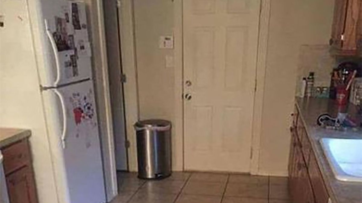 Pies ukrył się na zdjęciu z kuchni. Niewiele osób potrafi rozwiązać tę zagadkę