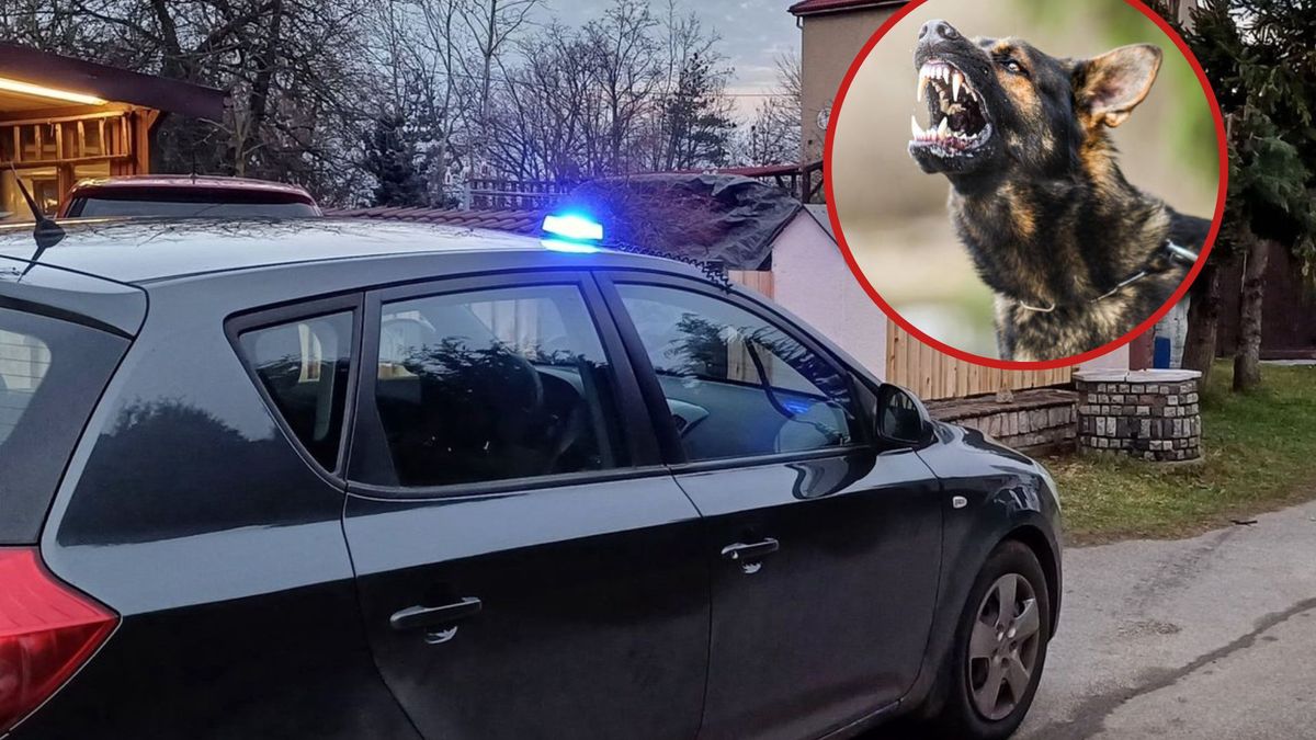Tragiczny finał interwencji policji: Agresywny pies zastrzelony 