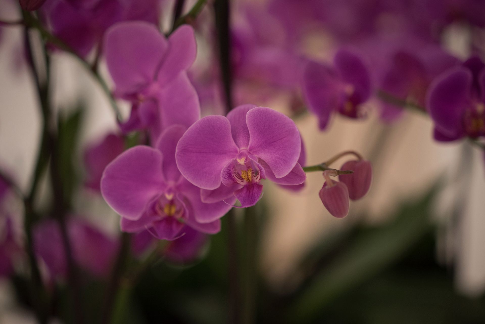Sony A7S - zdjęcia testowe do ISO 409 600 11