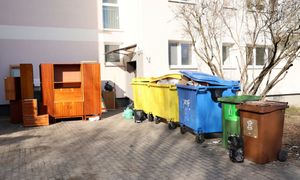 Zwolnienie z opłat za śmieci. Nie tylko seniorzy mogą skorzystać