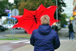 Pogoda. Żółte alerty IMGW. Ostrzeżenie przed silnym wiatrem dla sześciu województw