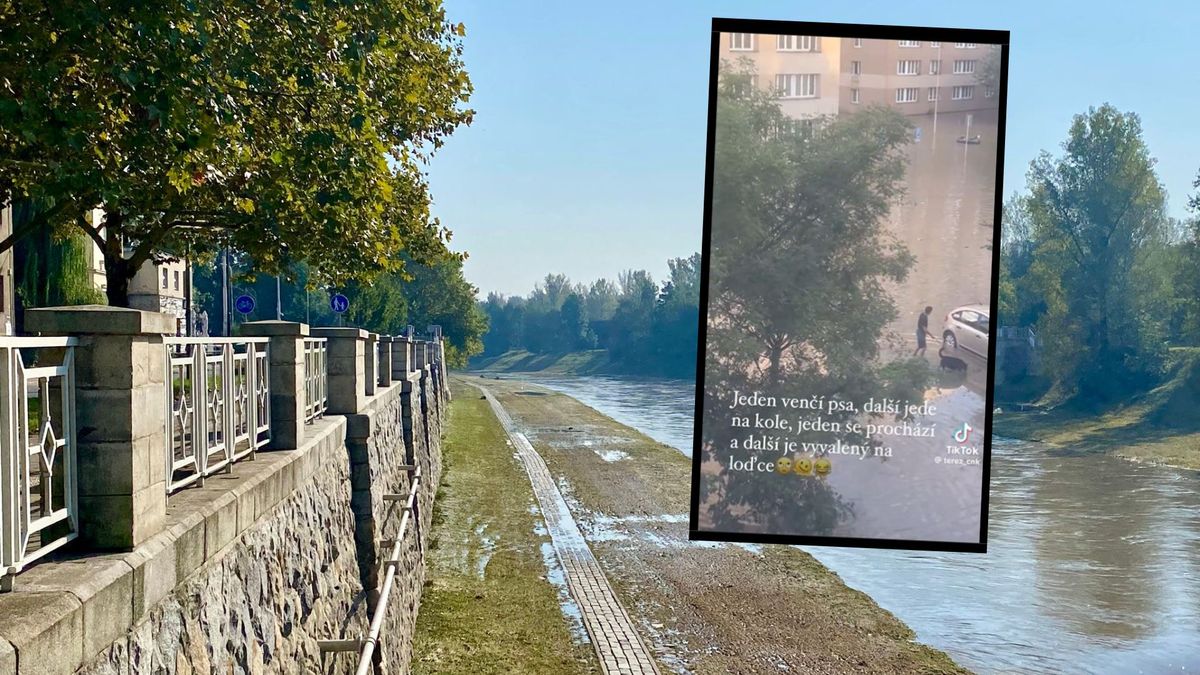 Wideo z Ostrawy niesie się po sieci