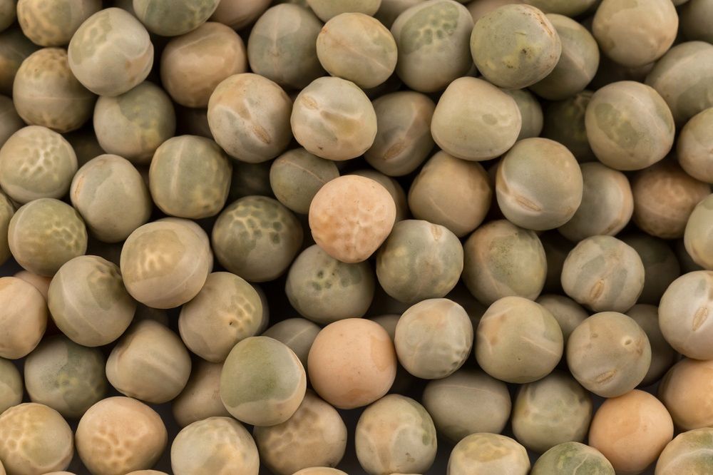 Najgorsze produkty dla jelit. Powodują gazy, fermentują i prowadzą do powstawania złogów