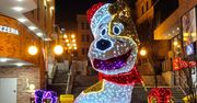 Bielsko-Biała: Bajeczne iluminacje świąteczne. Reksio, piękna choinka i...mały fiat. Czuć magię Świąt Bożego Narodzenia