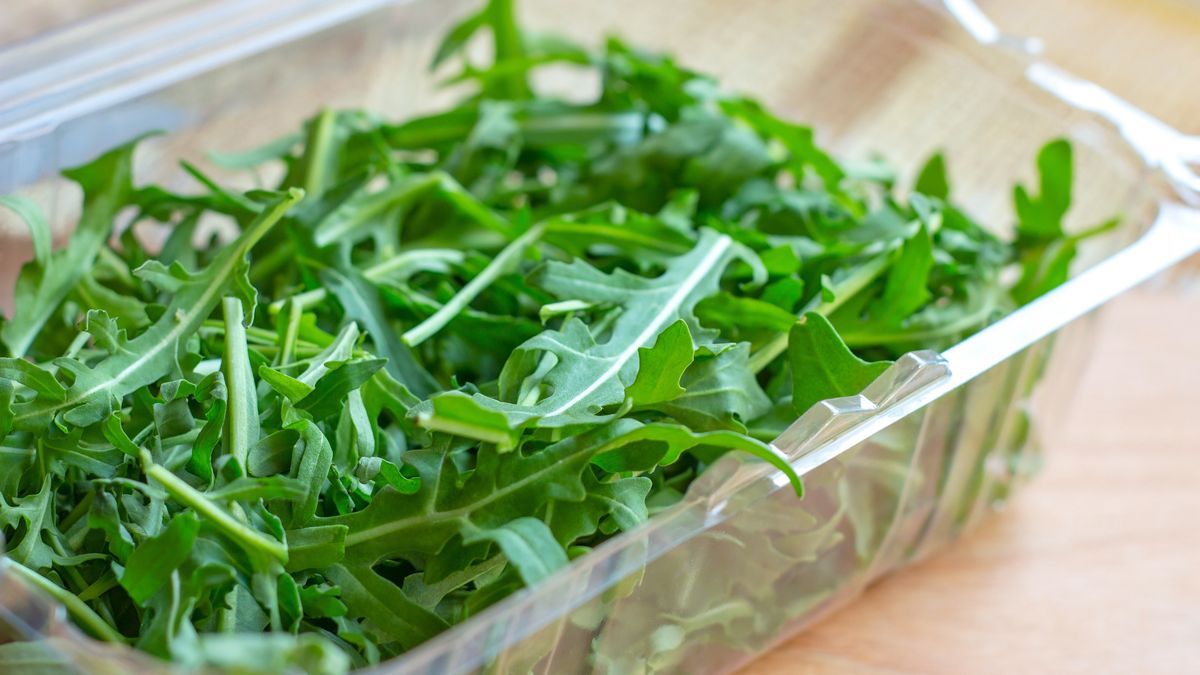 Zacznij od przejrzenia listków rukoli