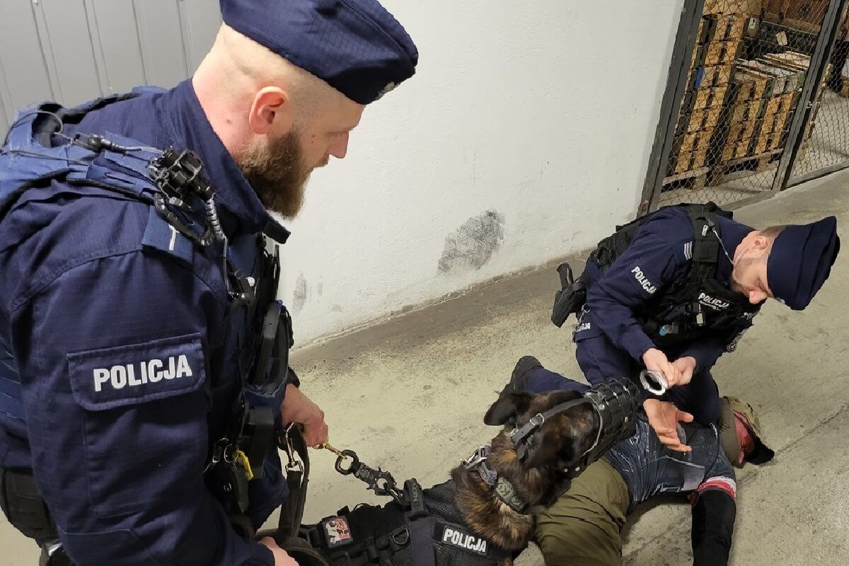 Pies obezwładnił napastnika