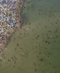 Pogoda na wiosnę i lato 2023. Jest eksperymentalna prognoza IMGW