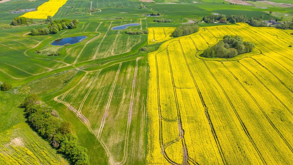 Nowe przepisy dają zadłużonym rolnikom ochronę przed egzekucją, co pozwala im na zorganizowanie swoich finansów i wyjście z długów.