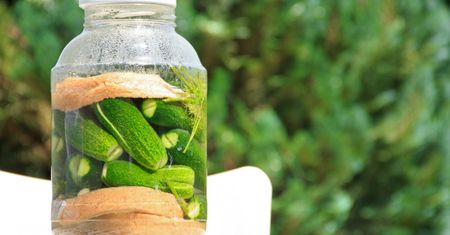 Ogórki małosolne to słowiański superfood. Istnieją trzy argumenty za tym, by po nie sięgać