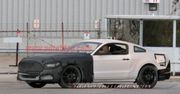 Nowy Ford Mustang (2015) uchwycony podczas testów!