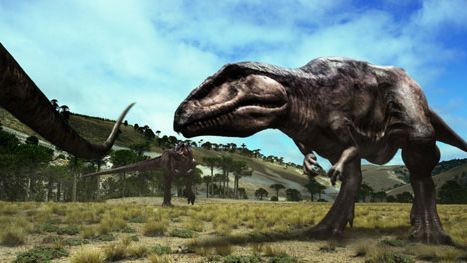 Krótkie filmy w VOD Samsunga 1