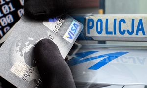 Cyberplaga na Śląsku i rekordowe straty. Oszuści uderzają w emocje