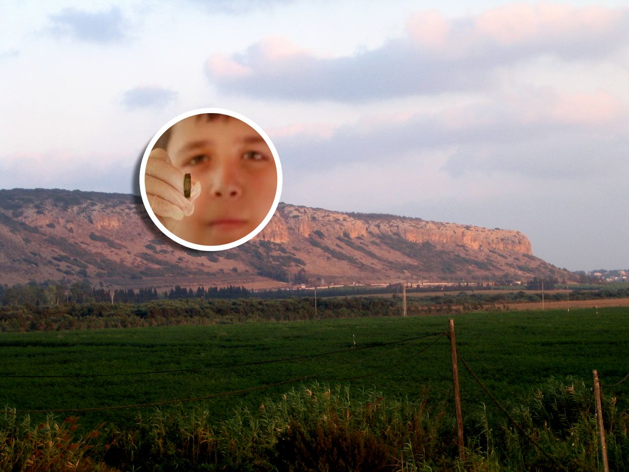 Ancient Roman ring found by Israeli teen on family hike