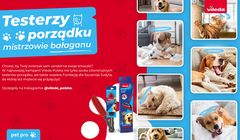 „Testerzy porządku, mistrzowie bałaganu” hasłem kampanii Vileda Polska
