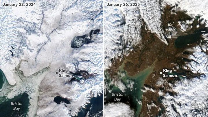 Wysokie temperatury powodują topnienie śniegu na Alasce. 