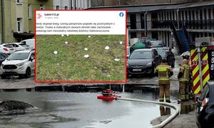 Topnieje śnieg i wychodzą… pampersy. Mieszkańcy oburzeni