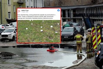 Topnieje śnieg i wychodzą… pampersy. Mieszkańcy oburzeni