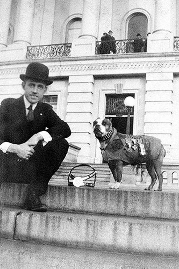 Pies, który został żołnierzem. Sierżant Stubby uratował oddział USA 4