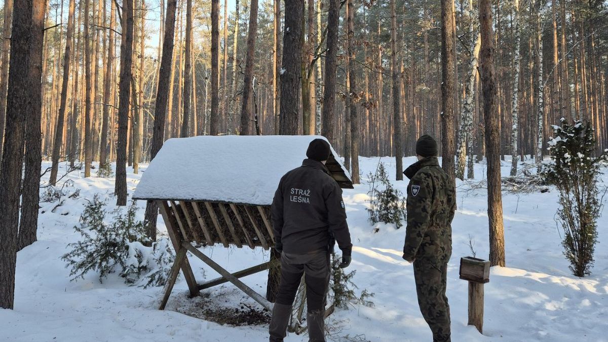 Drastyczne odkrycie podczas patrolu