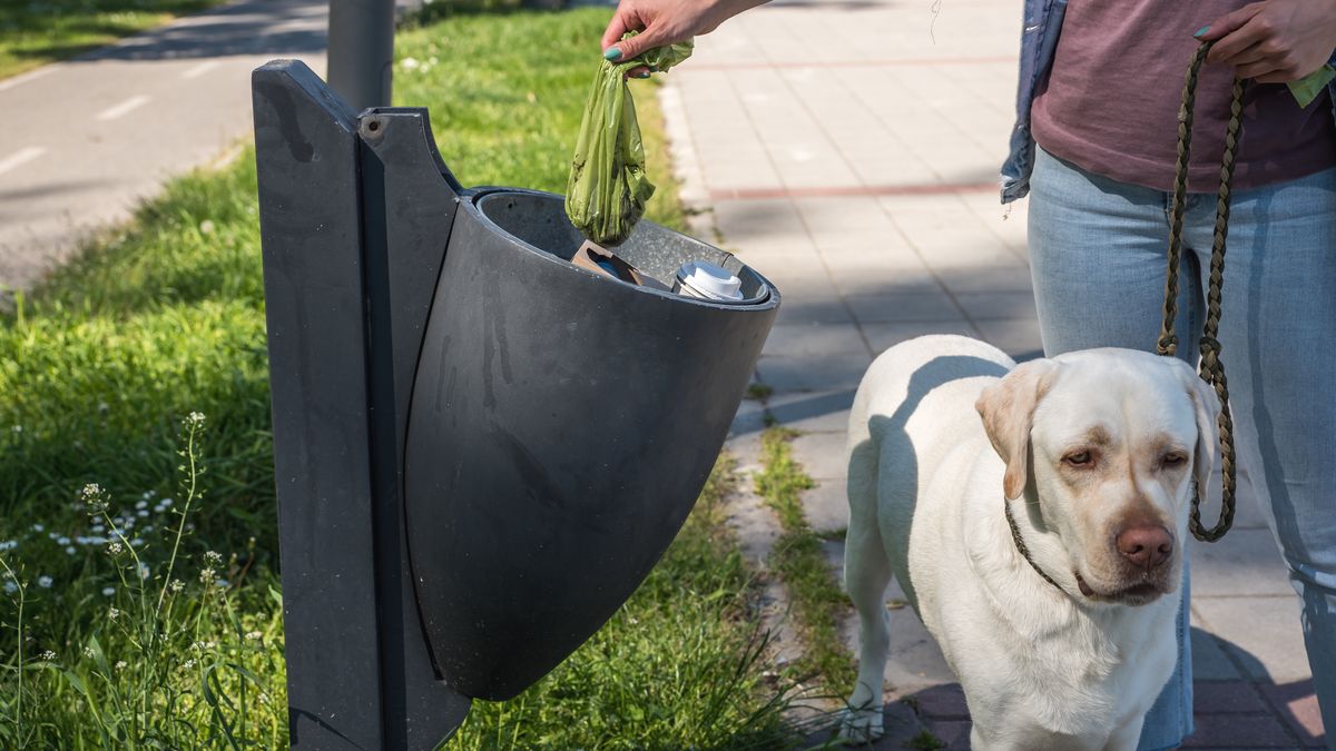 Sprzątanie po psie to obowiązek każdego właściciela