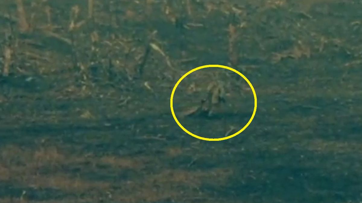 Rosjanie porzucili rannego kolegę. Chwilę później dostali pociskiem