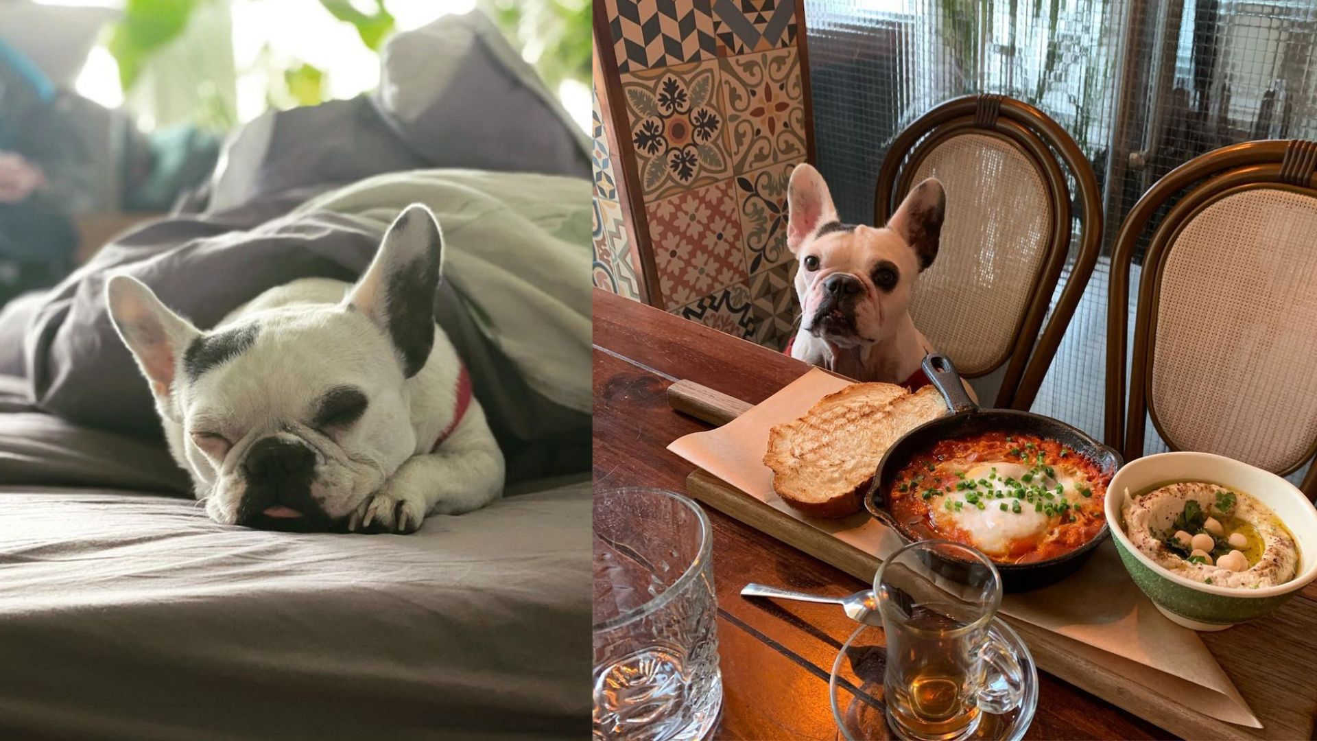 Jak mieszka Olga Bołądź? 