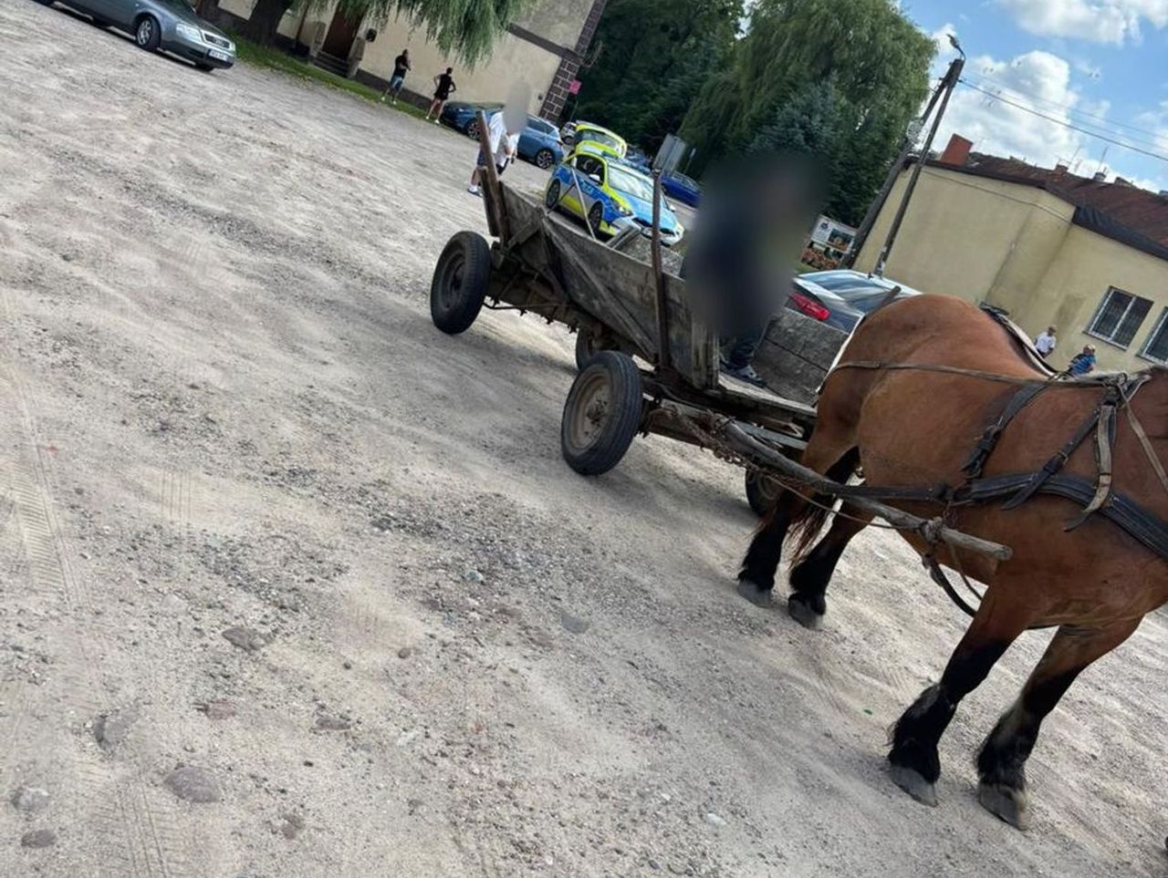 Sępopol: Woźnica miał blisko dwa promile we krwi. Koń zaczął cofać na drodze i spowodował kolizję z autem