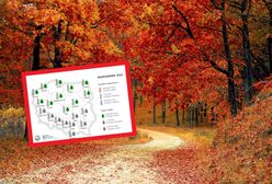 Pogoda na jesień. Nowa prognoza długoterminowa IMGW. "Złota" nie będzie