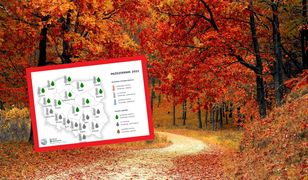 Pogoda na jesień. Nowa prognoza długoterminowa IMGW. "Złota" nie będzie