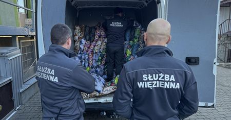 Więźniowie pomagają bezdomnym zwierzętom. Poruszający gest