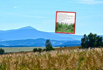 Leśnicy donoszą o sensacji. Pierwszy taki przypadek. "To niesamowite"