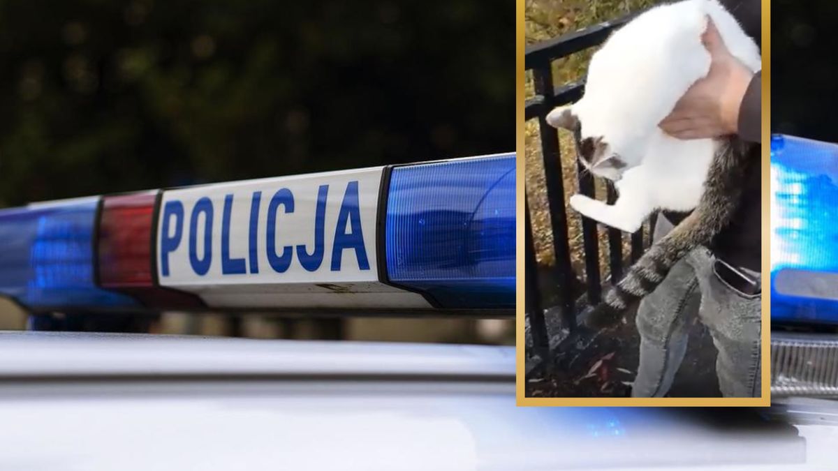 Wrzucanie zwierząt do rzeki miało być sposobem na przypodobanie się rówieśnikom