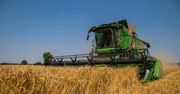 Niskie ceny zbóż dobijają rolników. Izby żądają działań