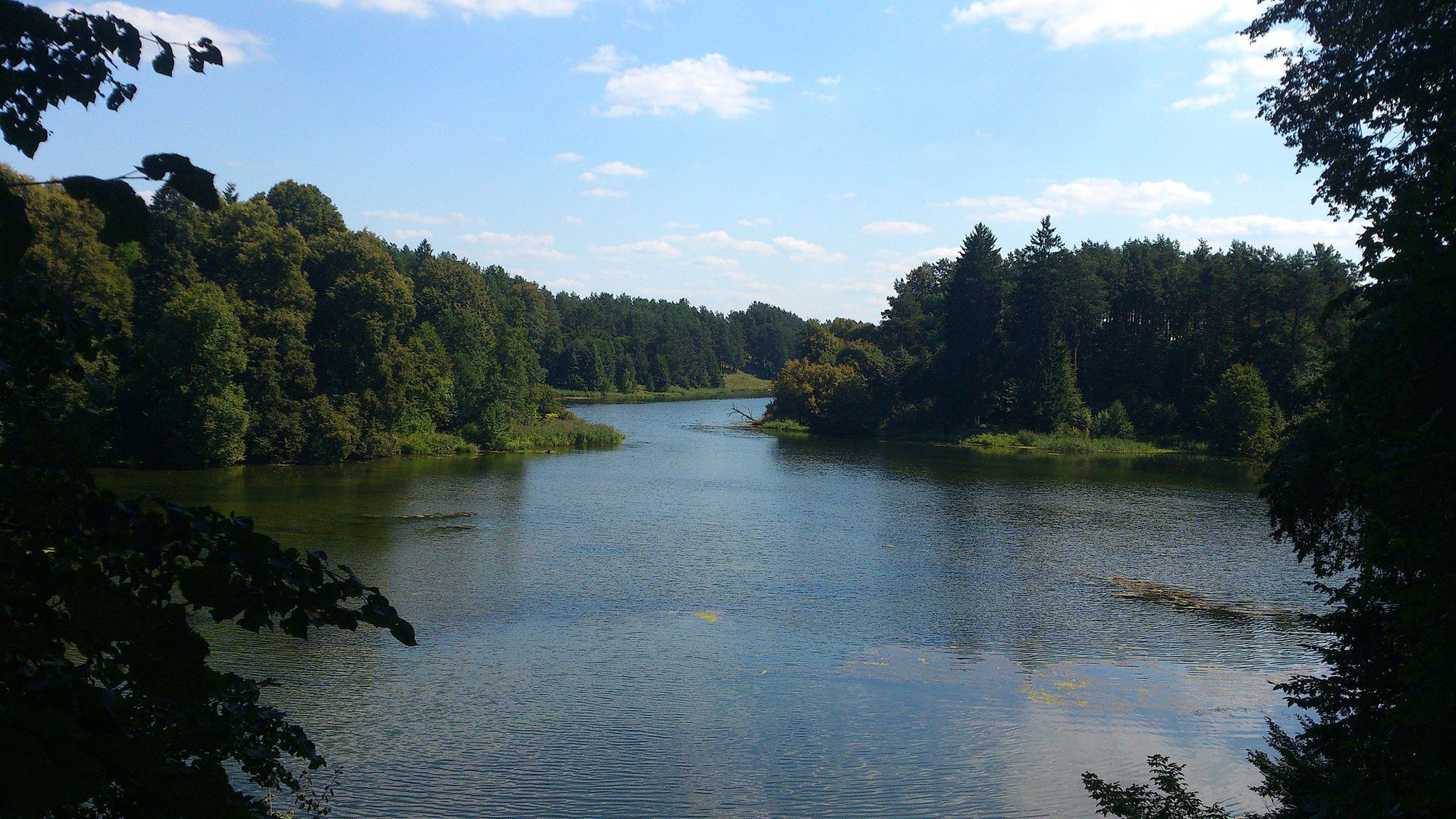 Puszcza Augustowska 