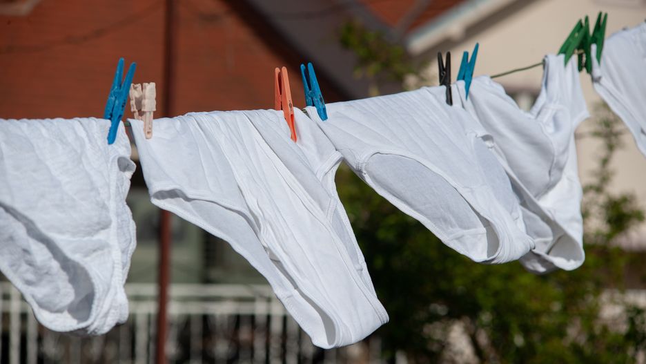 Na podstawie szybkości rozkładu bielizny, naukowcy mogli zbadać jakość gleby