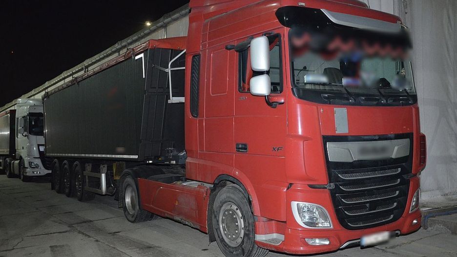 Pszenica była zanieczyszczona szkodnikami