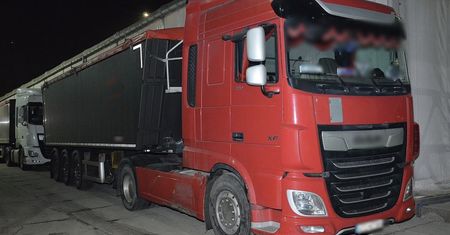 Taka pszenica miała trafić na statek. Odrażające odkrycie