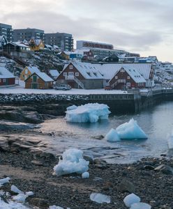 Atak na Grenlandię? Armia ma strzelać bez rozkazu