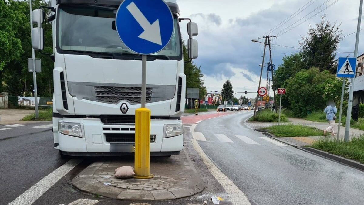 Ciężarówka potrąciła nastolatka na pasach w Niemcach | fot. Lubelska Policja