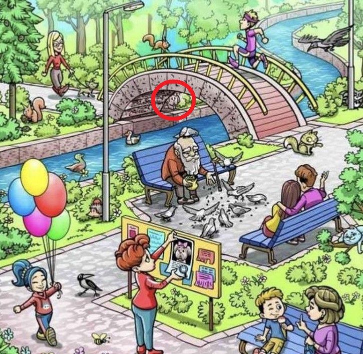 Szczeniak jest pod mostem!