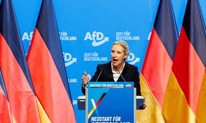 Wstrząs w Niemczech. Takie plany ma AfD