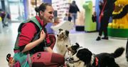 "Czy można je pogłaskać?". Psy na lotnisku w Krakowie robią furorę