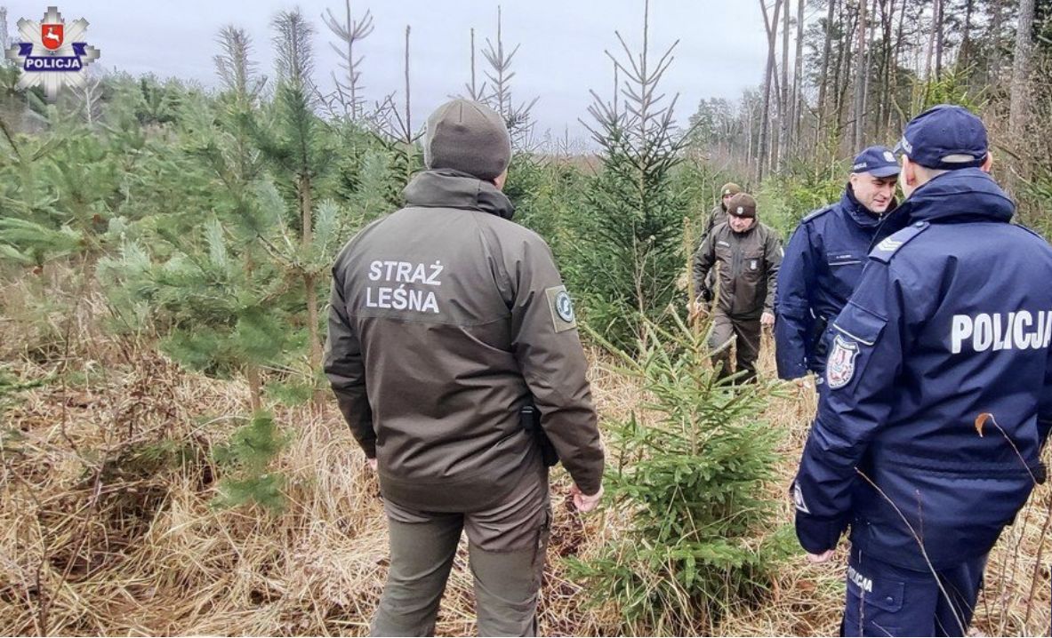 Przed świętami policja i straż leśna patrolują lasy