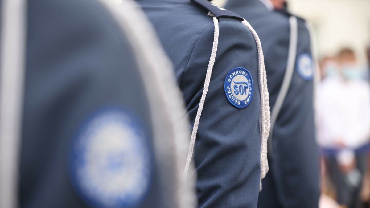 / zdjęcie ilustracyjne