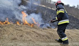 Nawet 30 tys. zł kary. Groźna patologia wciąż popularna w Polsce
