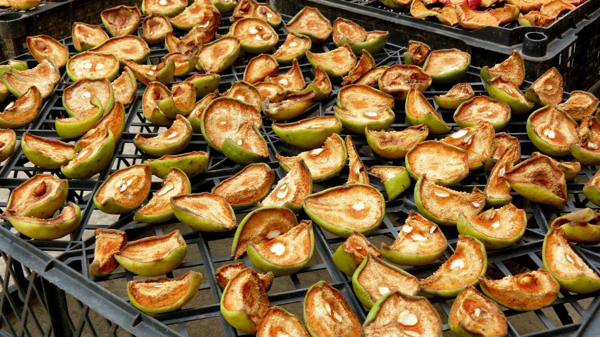 Gruszki są zdrowe, ale nie wszyscy powinni je jeść. Komu mogą zaszkodzić?