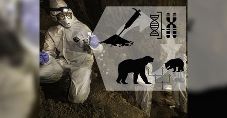 Sensacyjne odkrycie w Meksyku. Naukowcy uzyskali starożytne DNA