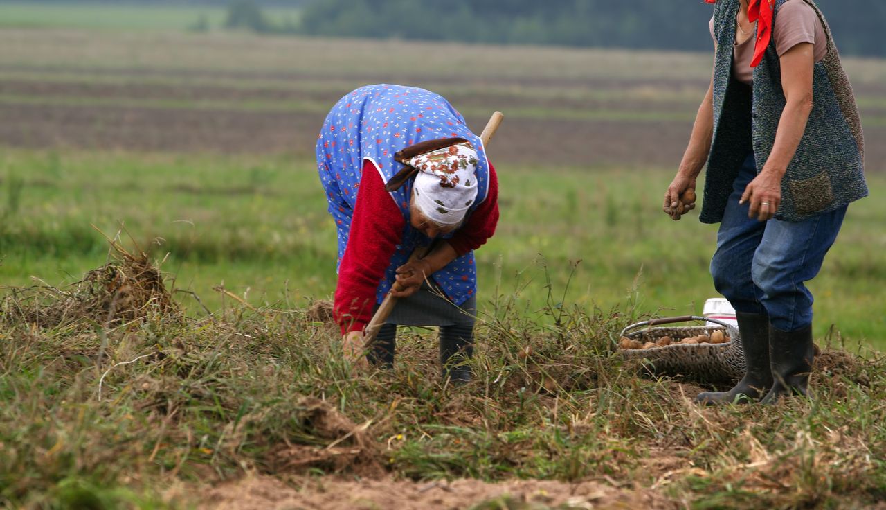 Rolnicy załamują ręce. "Jak 20 lat temu"
